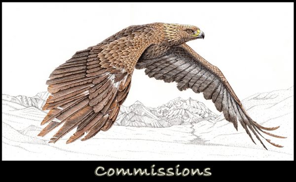 Commissions
