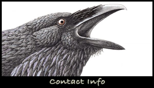 Contact
