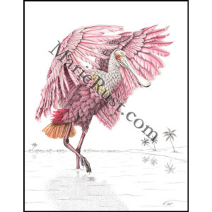 "Darling" (Roseate Spoonbill)
