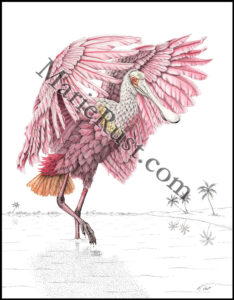 roseate-spoonbill-new