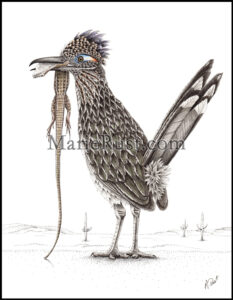 Greater-Roadrunner